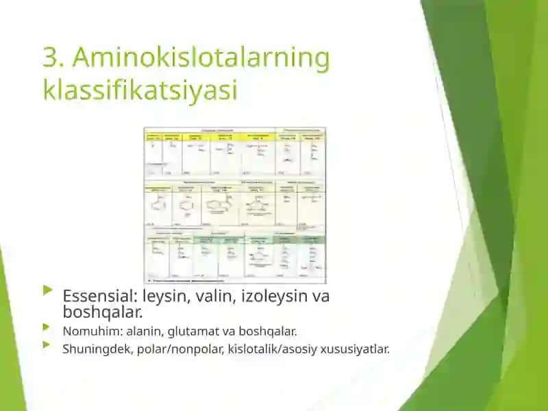 Aminokislotalar 3