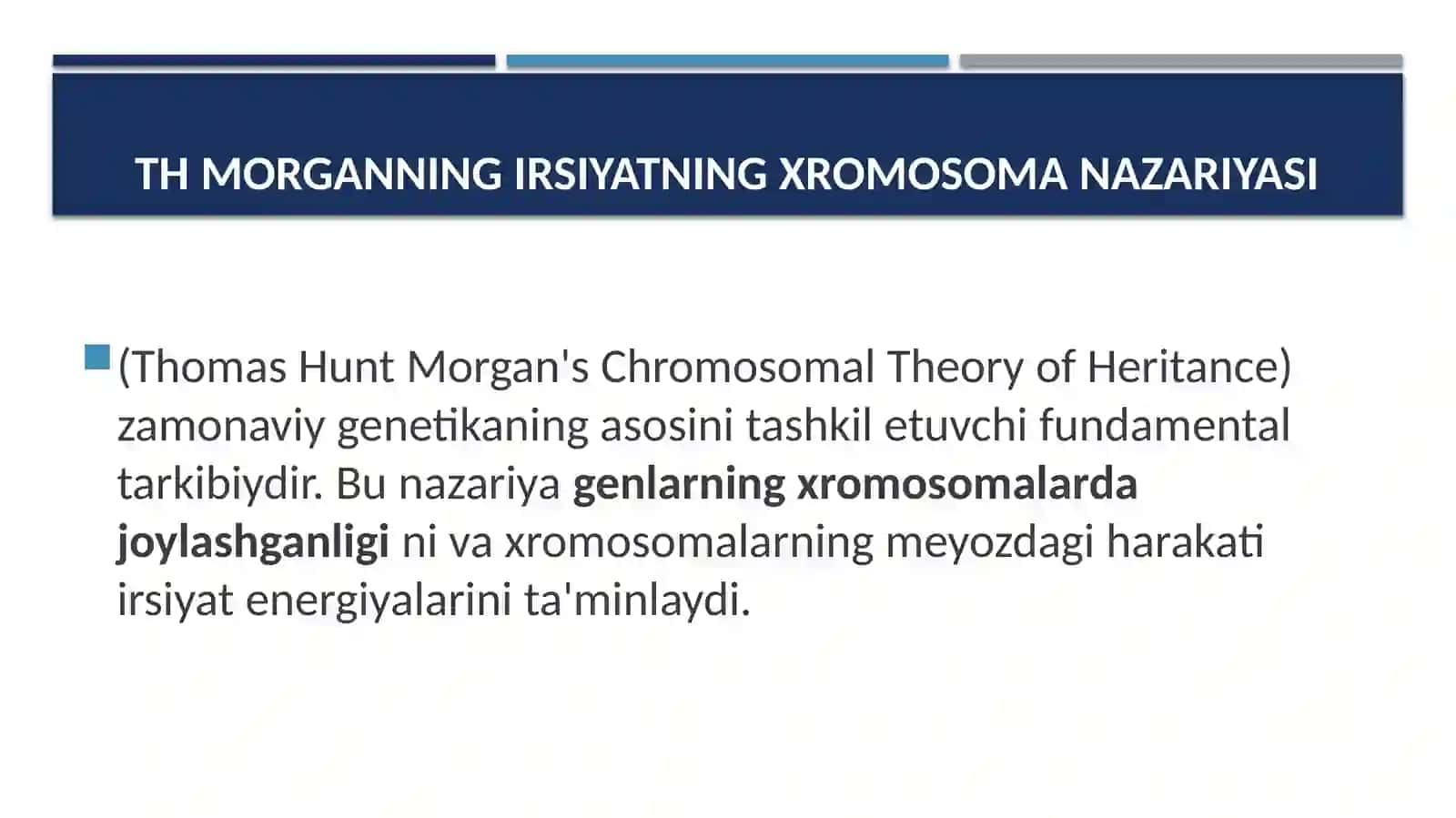 T.MORGANNING IRSIYATINI XROMOSOMA NAZARIYASI 3