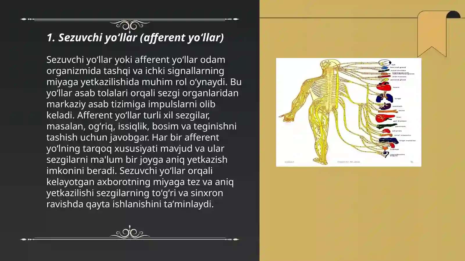 Sezuvchi va harakat oʻtkazuv yoʻllarining pogʻonalari 3