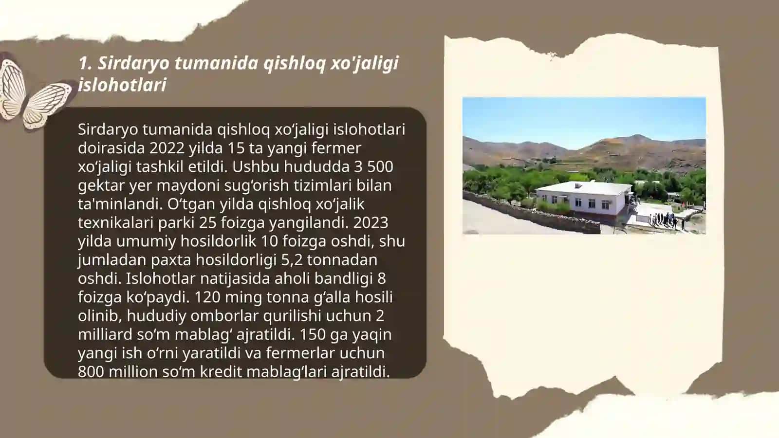 Sirdaryo tumanida qishloq xo'jaligi islohotlari 3
