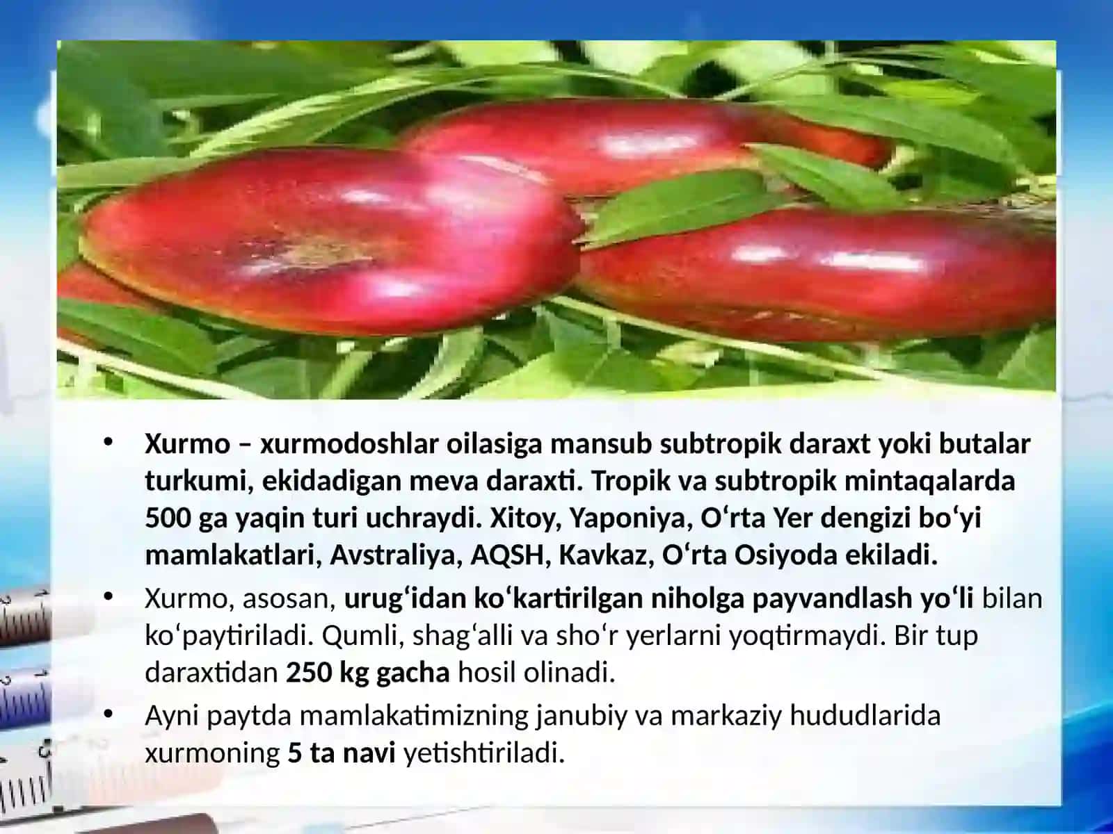 Xurmo va xurmodoshlar 3
