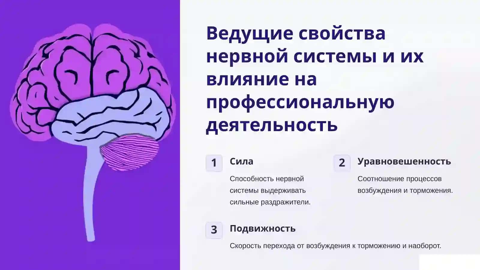 Индивидуально-типологические особенности в профессиональной деятельности 3