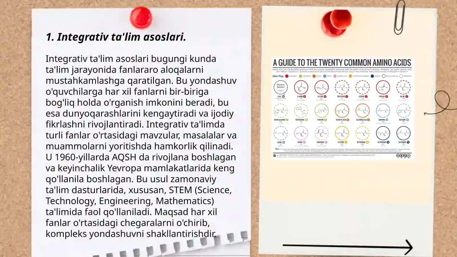 Integrativ ta'limni tashkil etish 3