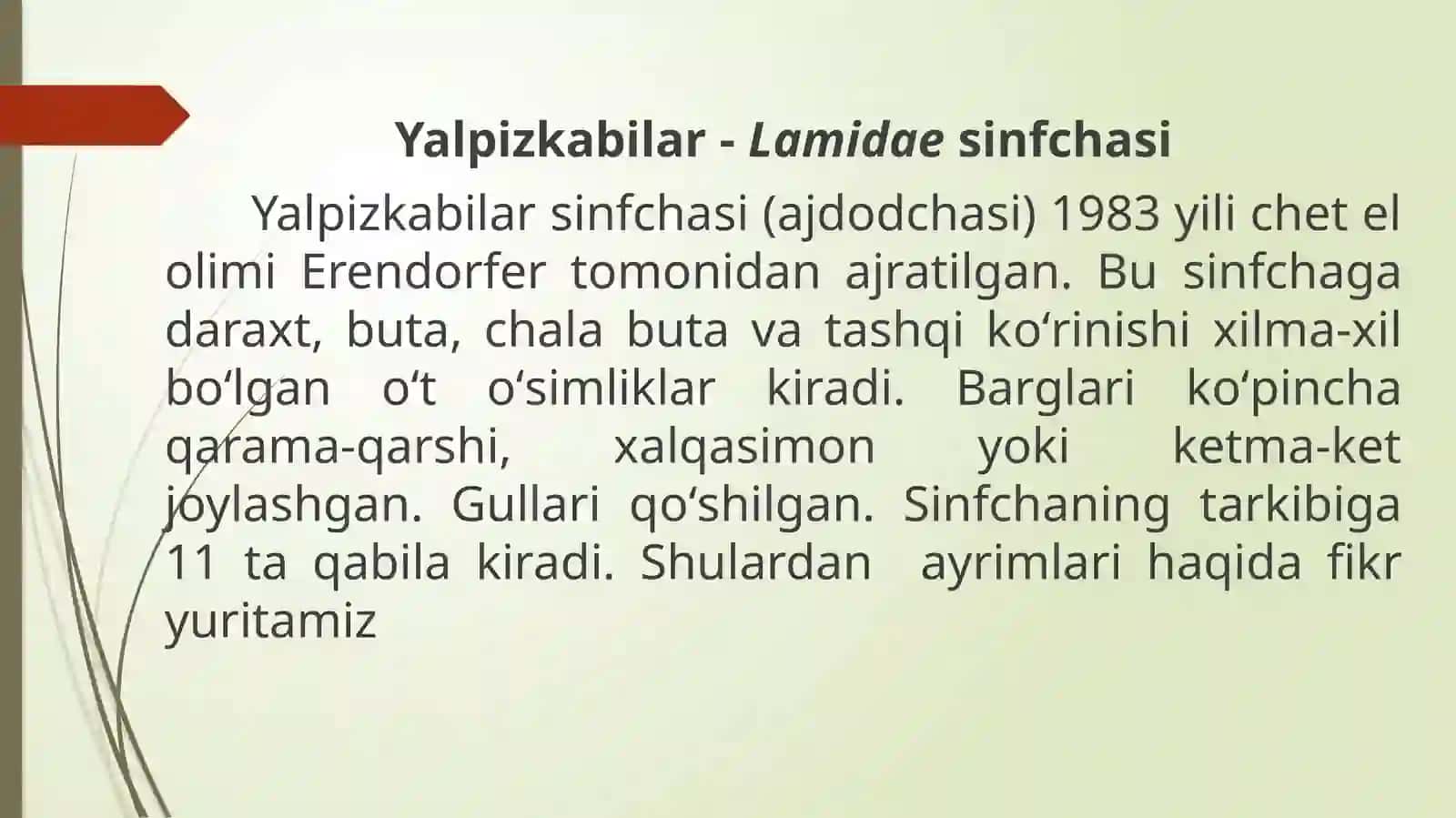 Yalpiznamolar qabilasining asosiy oila, turkum va turlari 3