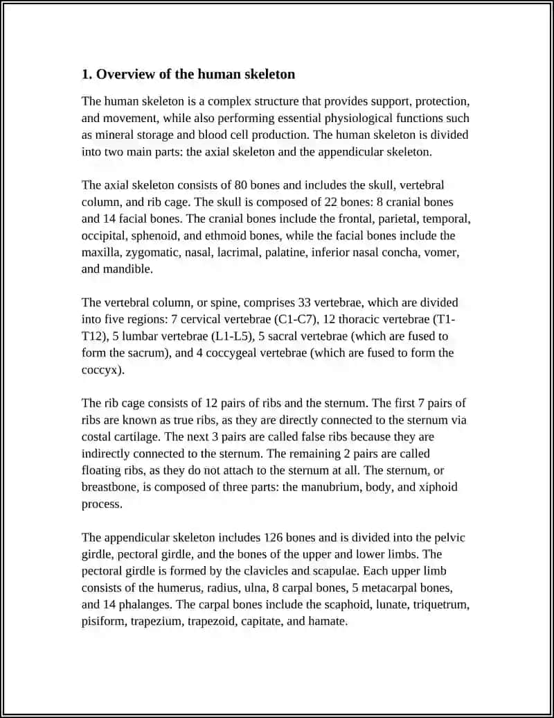 Human Skeleton Overview 3