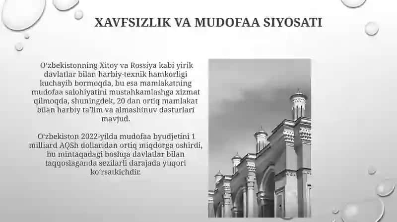 Xavfsizlik va mudofaa siyosati 3