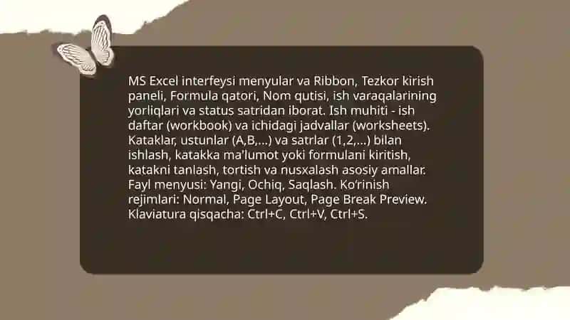 MS Excel 3