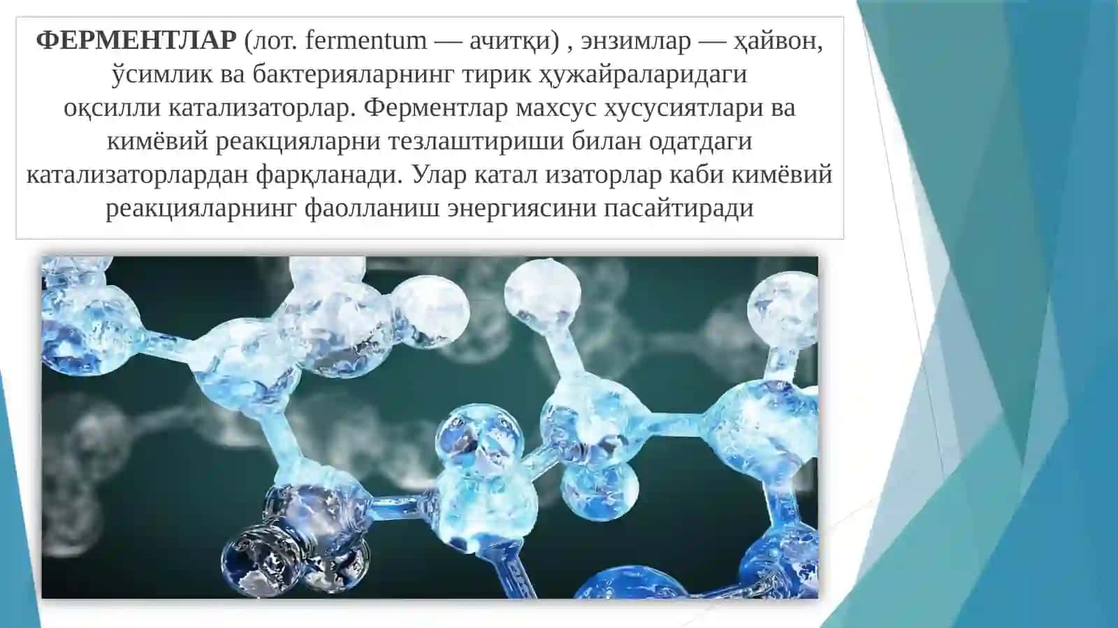 Ферментлар биокимёси 3