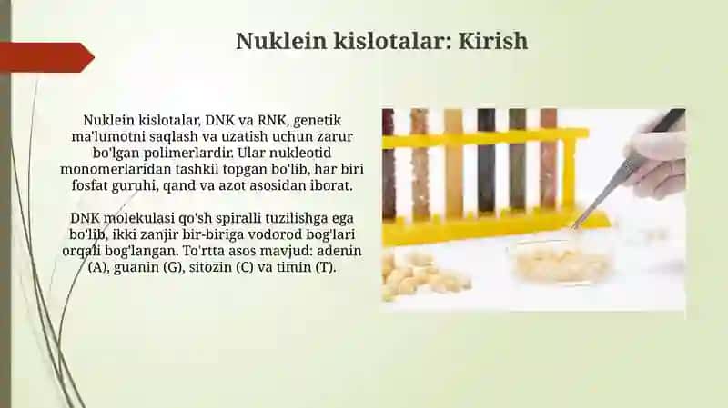 Oqsil sintezi stimulyatorlari 3