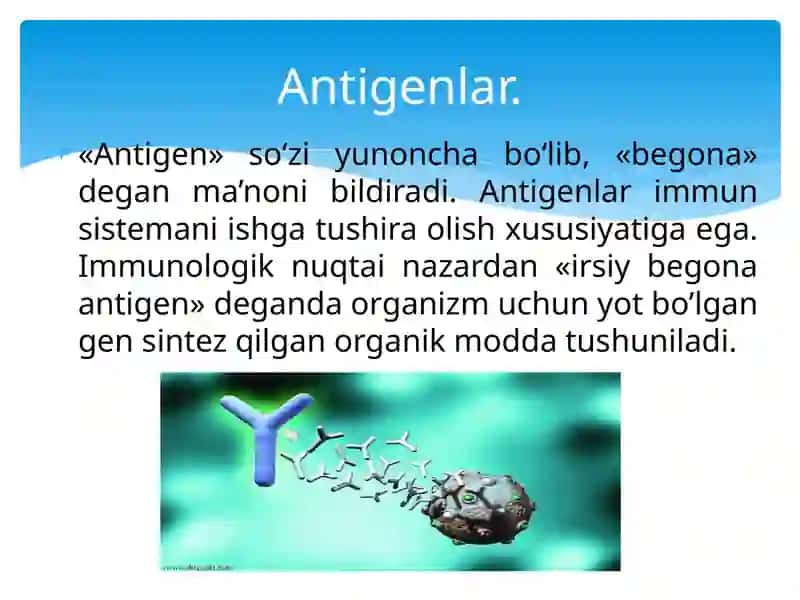 Antigen va antitela 3
