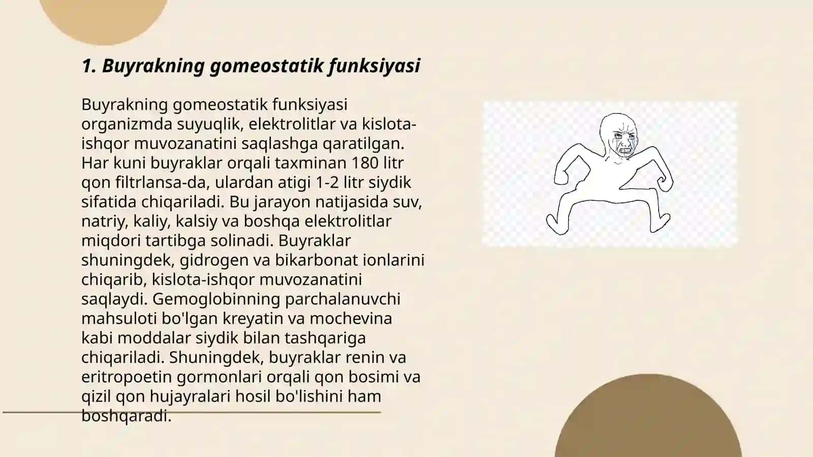 Buyrakning gomeostatik va sekretor funksiyalari 3