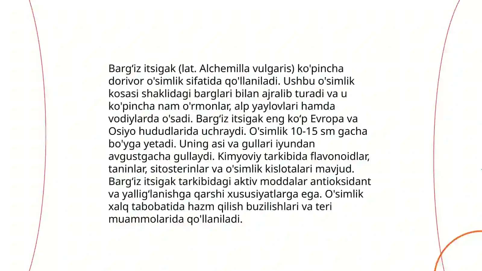 Bargsiz itsigak(anabazis), sariq nufar, kuchala, ilon,rauvolfiya,xitoy choyi oʻsimliklari 3