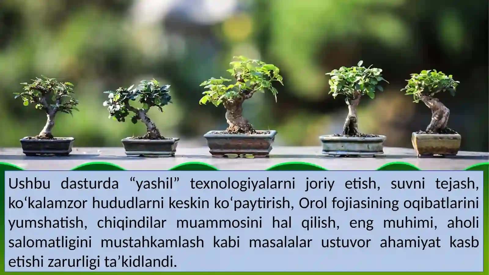 "Atrof-muhitni asrash, yashil iqtisodiyot" yili 3