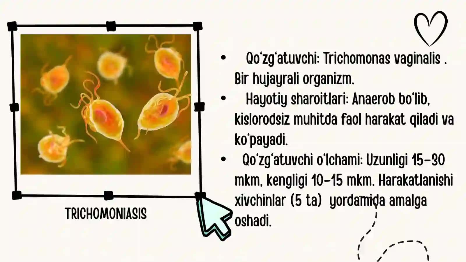 Trixomoniaz 3
