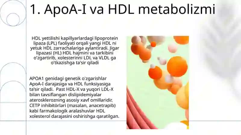 Apo oqsillat 3