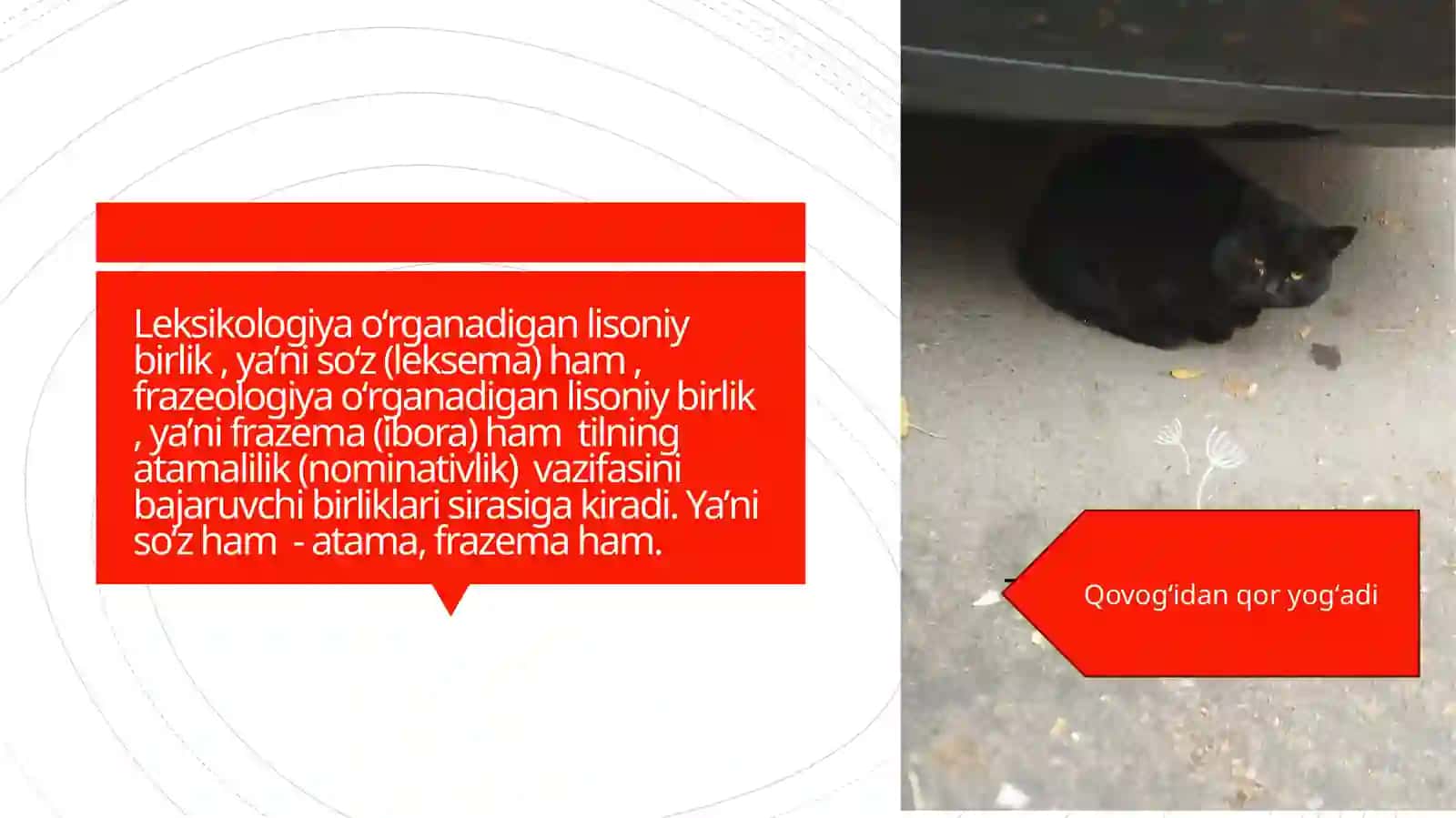 Oʻzbek tili frazeologizmlari 3