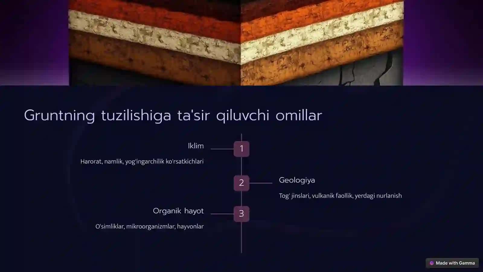 Gruntning asosiy turlari 3