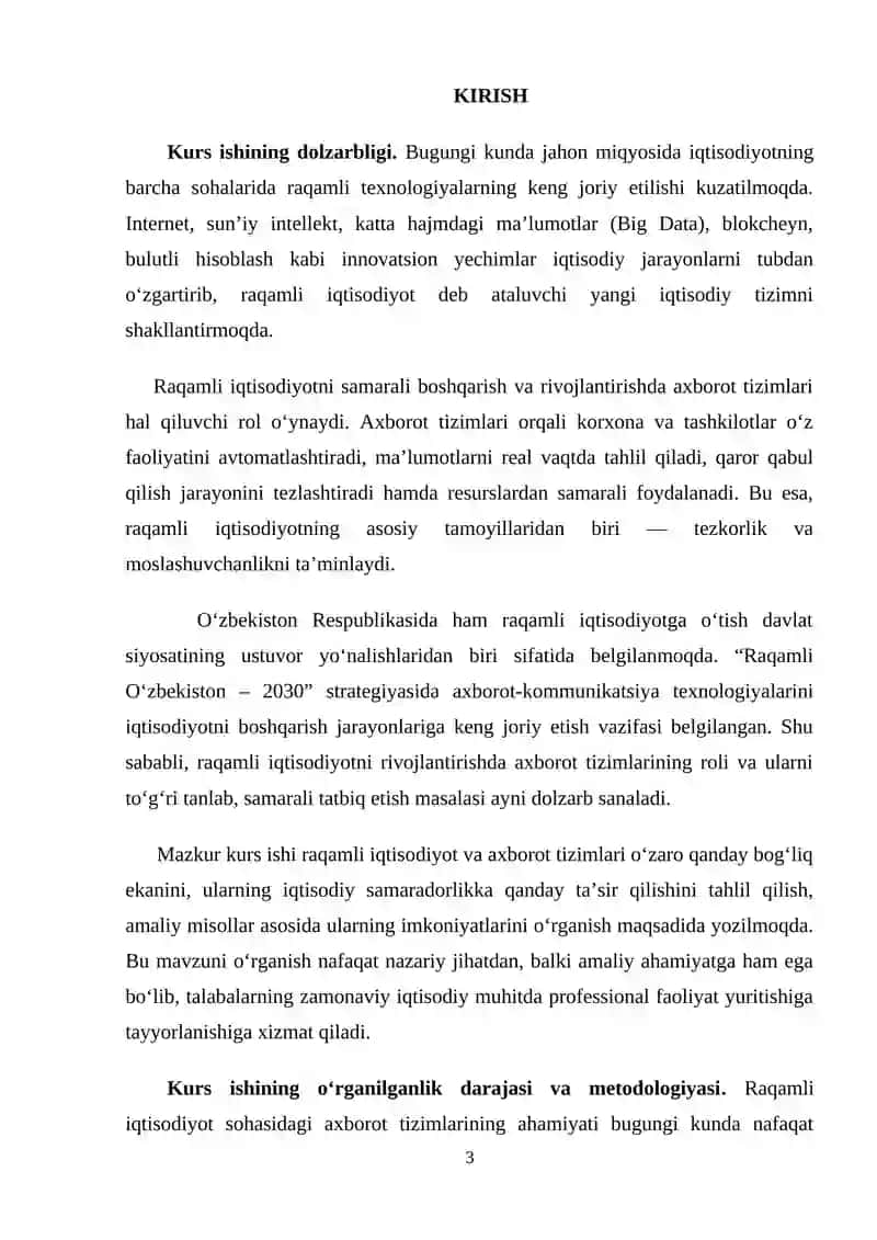 Raqamli iqtisodyotni axborot tizimlari 3