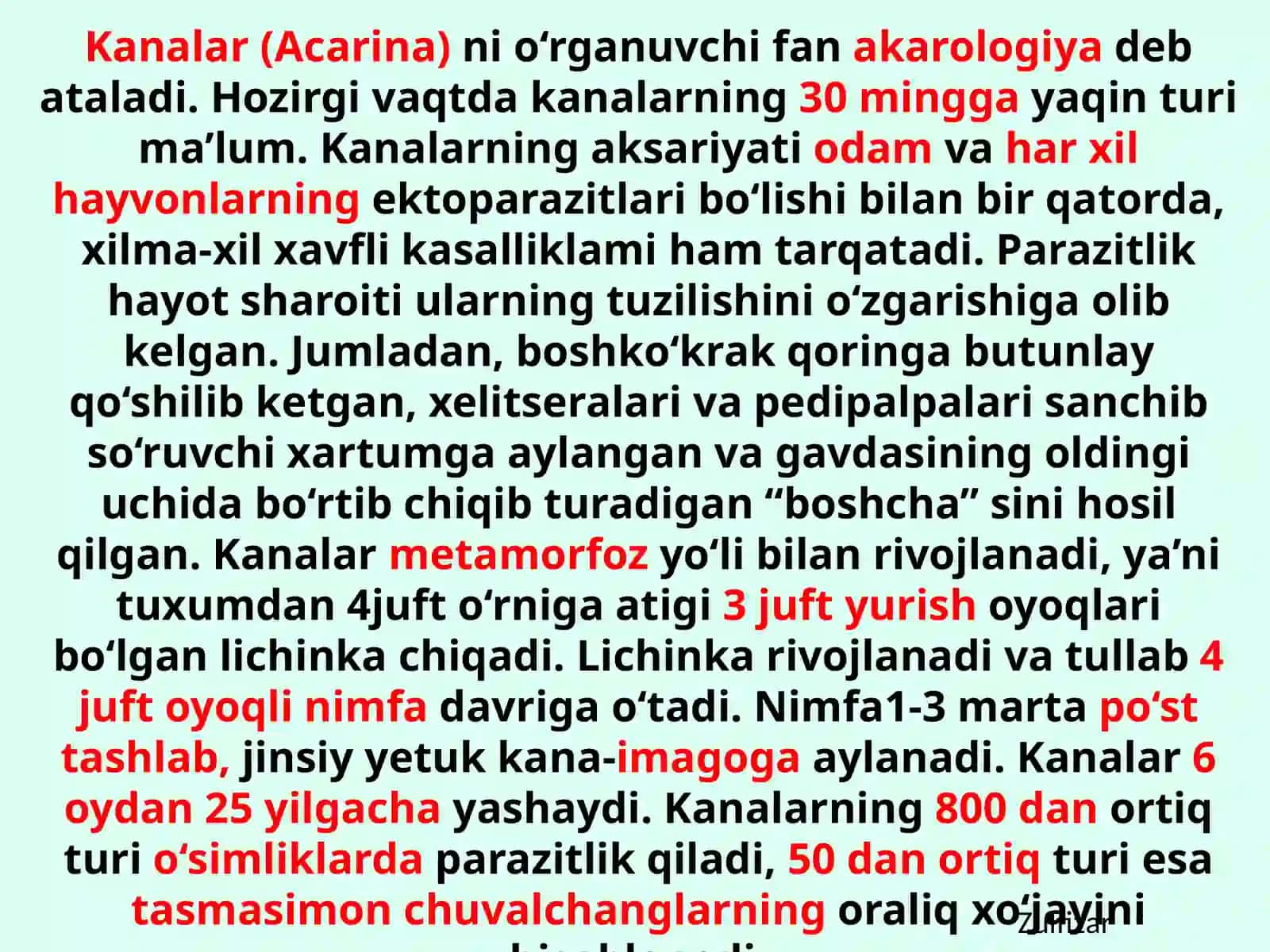 Kanalar Acarina 3