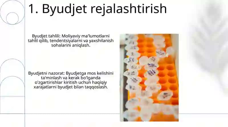 Byudjet tahlili 3
