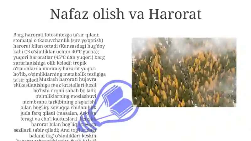Daraxtvaoʻsimliklarniharoratgamunosabati 3