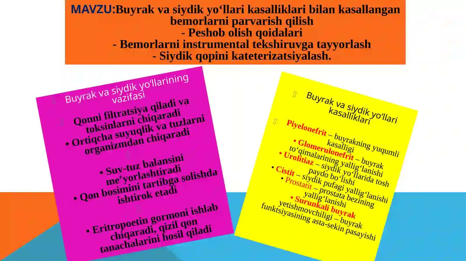 Buyrak va Siydik Yo‘llari Kasalliklari 3
