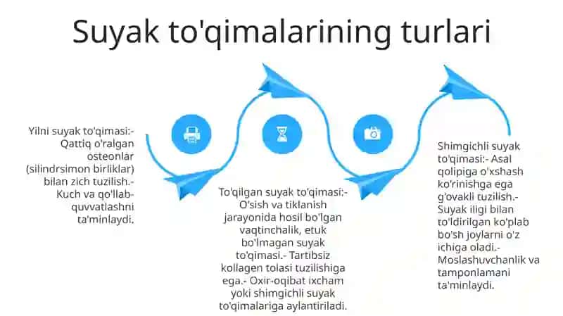 Suyak ToʻQimasi Tuzilishi 3
