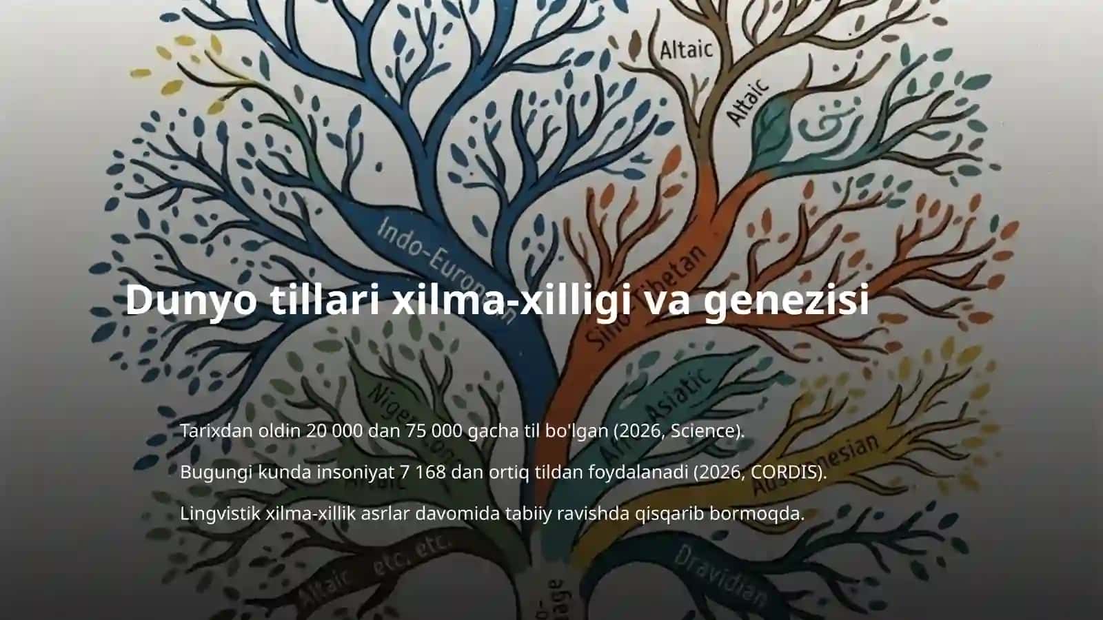 Dunyo tillari taraqqiyoti va tanazzuli 3