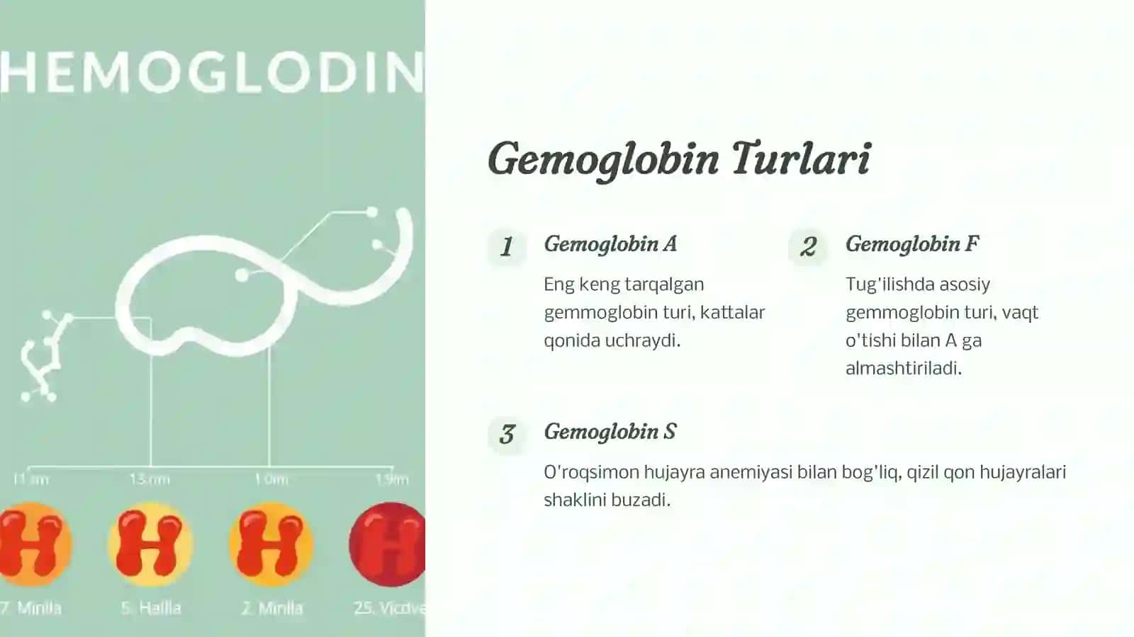 Gemoglabin va Leykositlar - Qonning asoslari 3