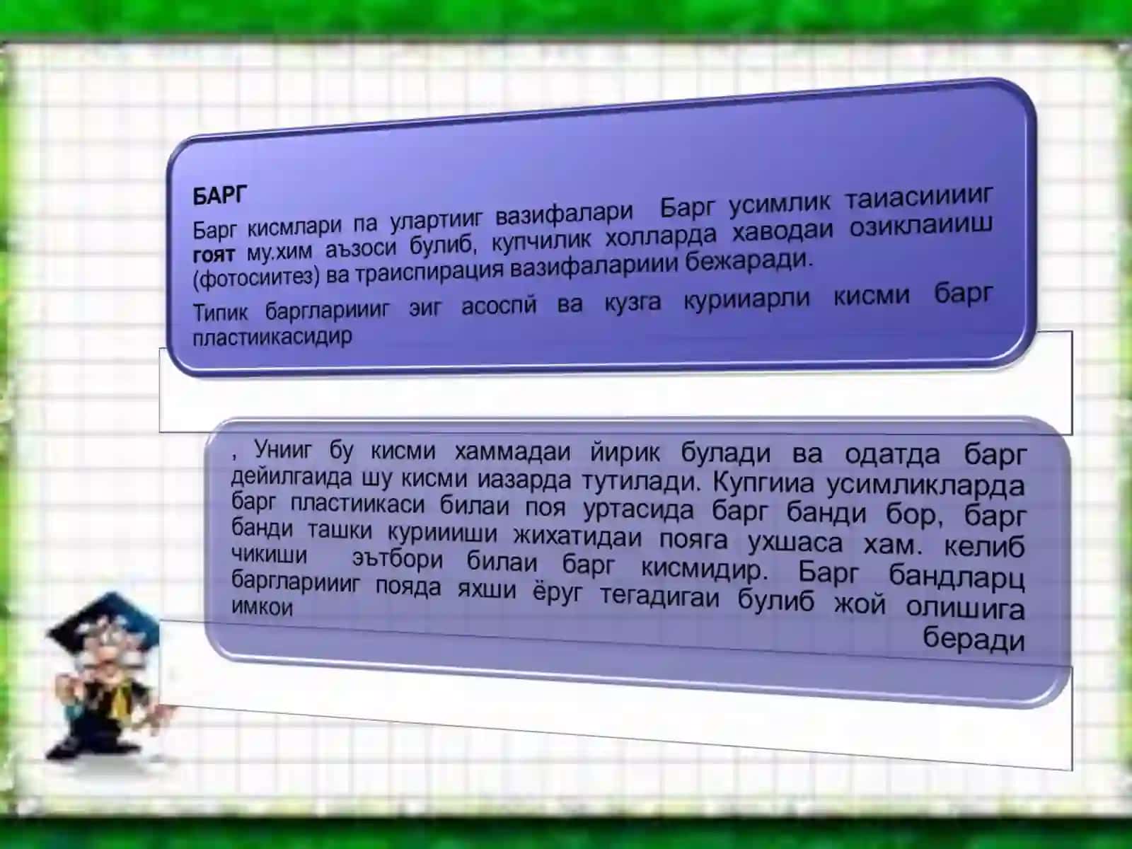 O’simliklar anatomiyasi va fiziologiyasi 3