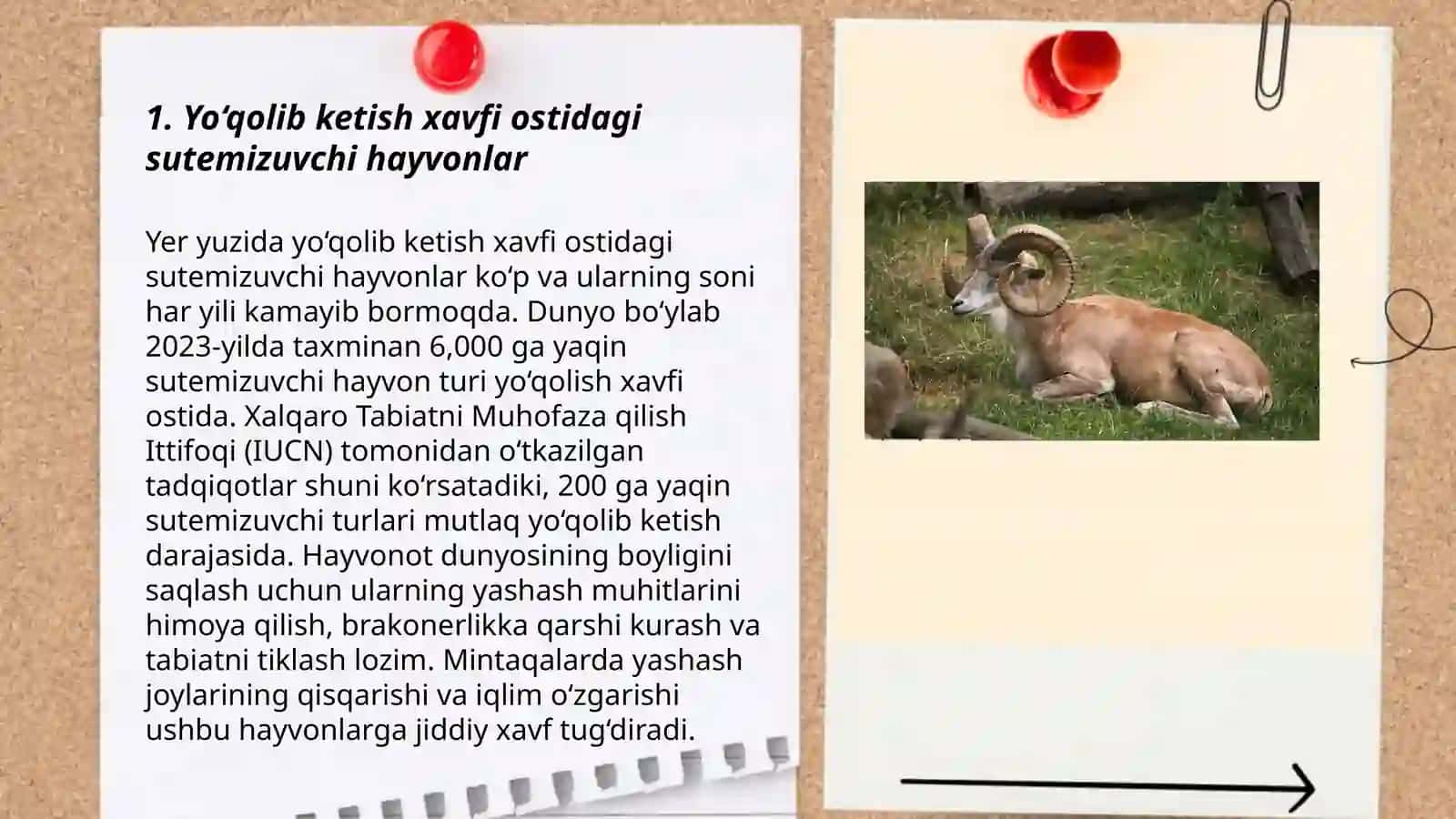 Qizil kitobga kiritilgan turli kategoriyalar boyicha turlarni tasniflash 3
