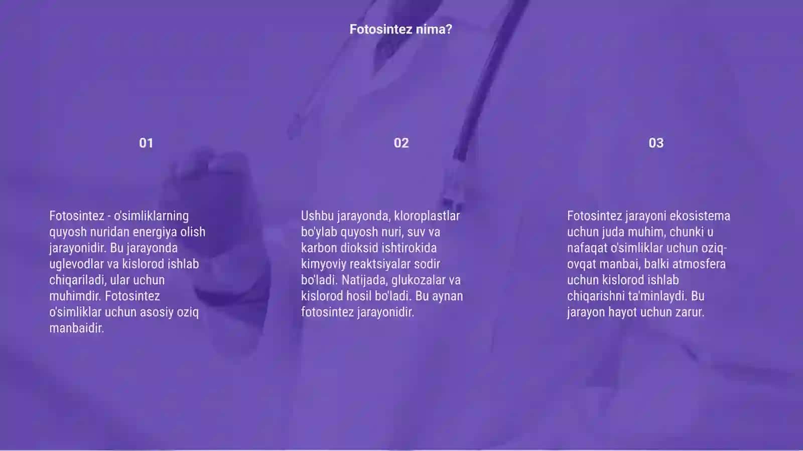 Fotosintez 3