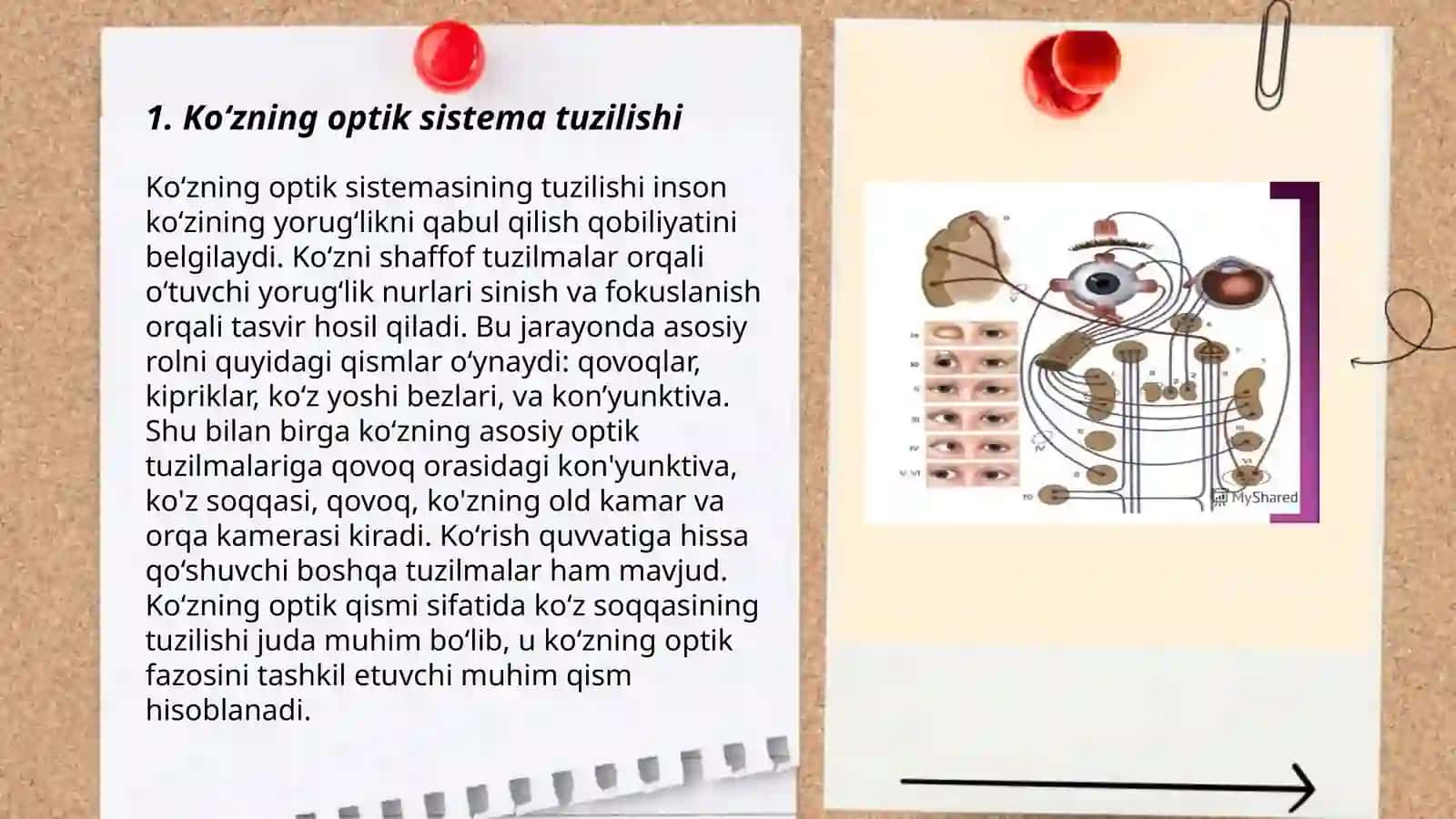 Koʻzning optik sistemasi va uning fizik xususiyatlari 3