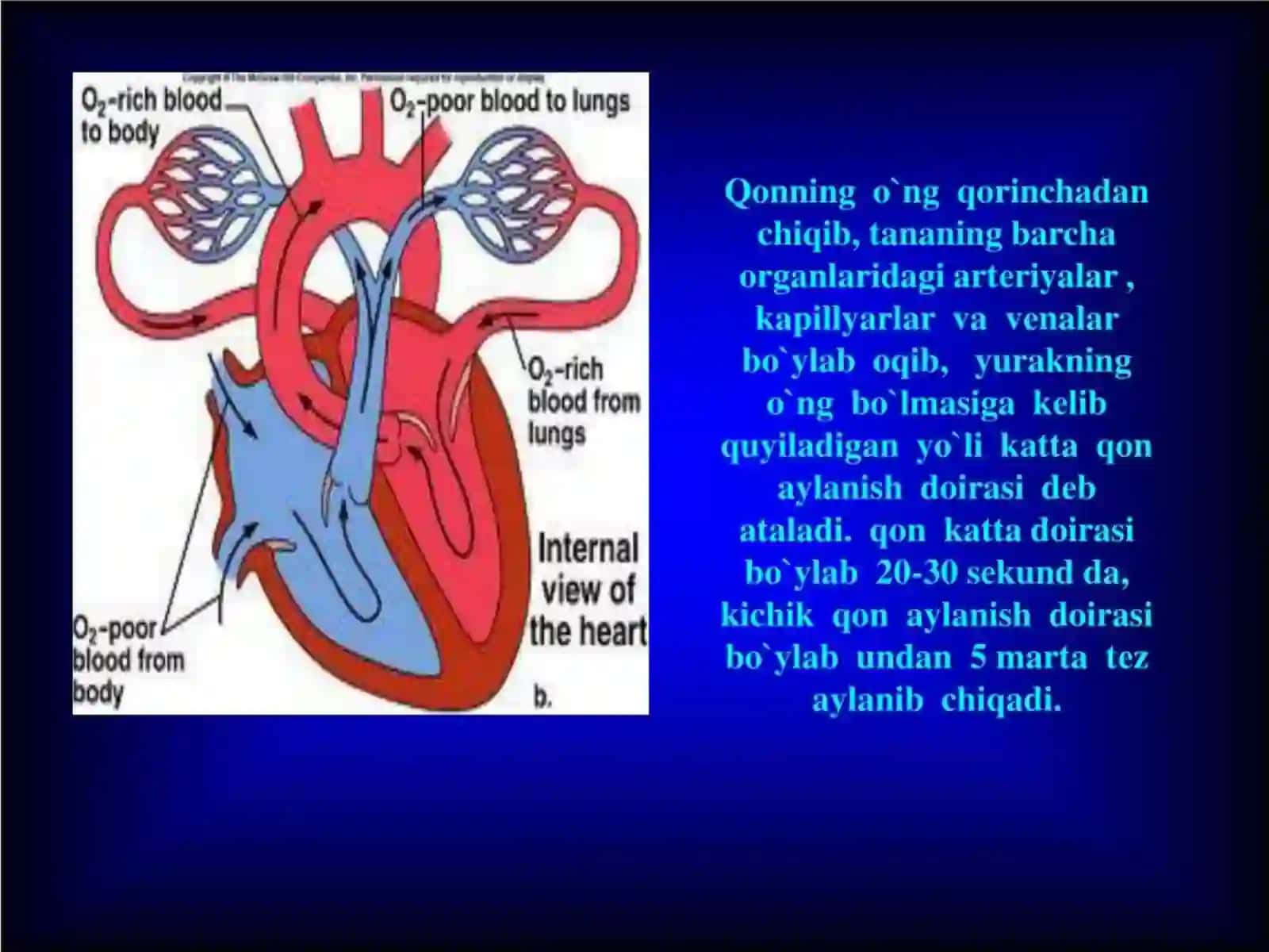 Axbatottexnalogiyalari Menejment Universiteti 4-bosqich M I-106-22-guruhtalabasi Aliyeva Shodiyaning Fizalogiyafanidantayyorlagantaqdimoti 3