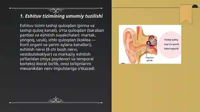 Inson eshituv tozimi 3