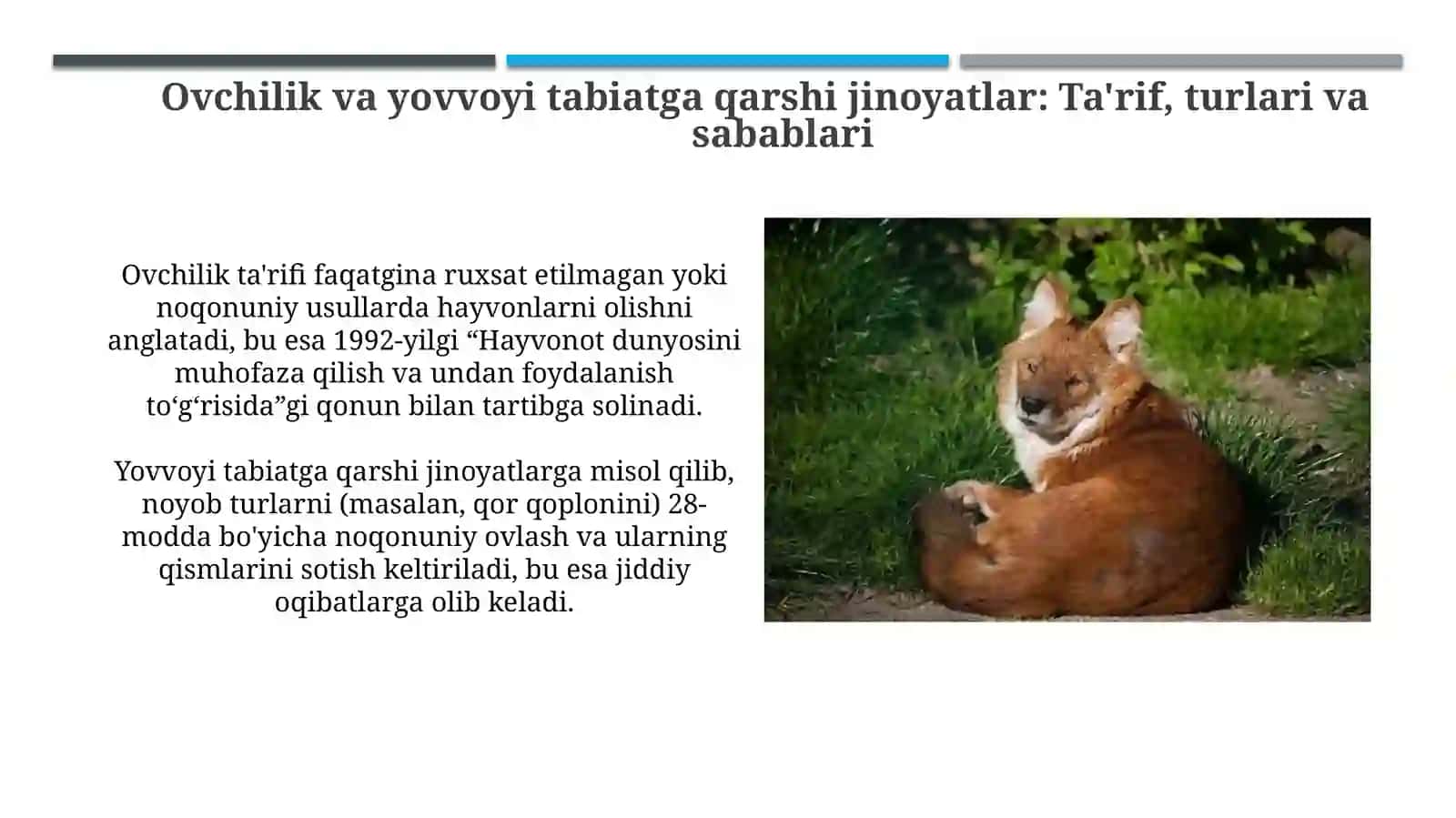 Ovchilik va yovvoyi hayvonot dunyosiga jinoyatlar 3