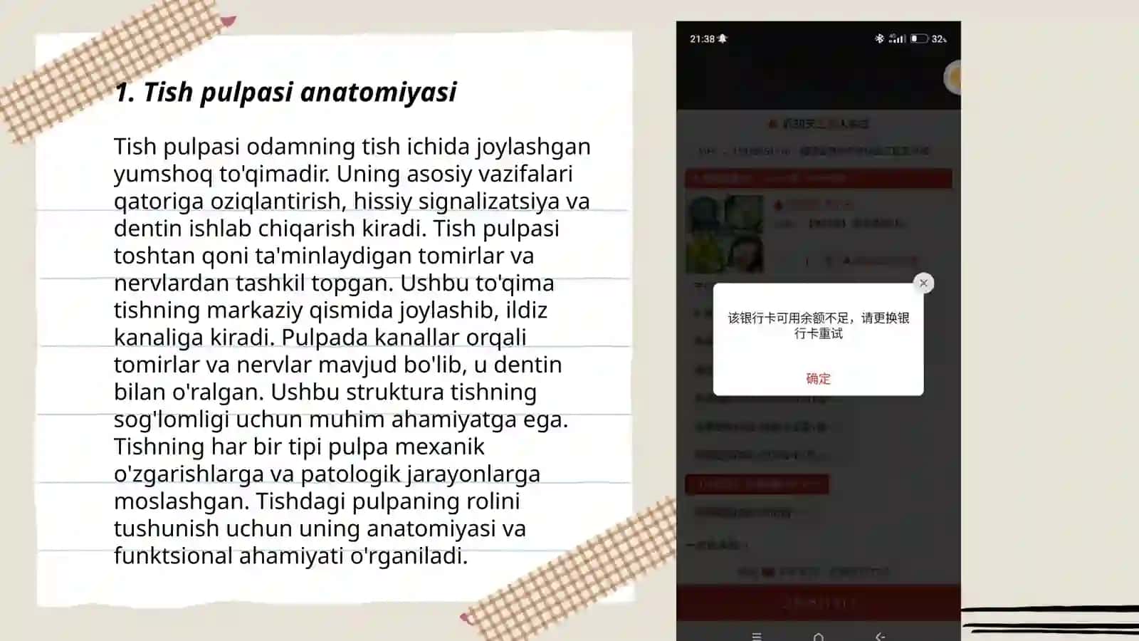 Tish Pulpasi tuzulishi 3