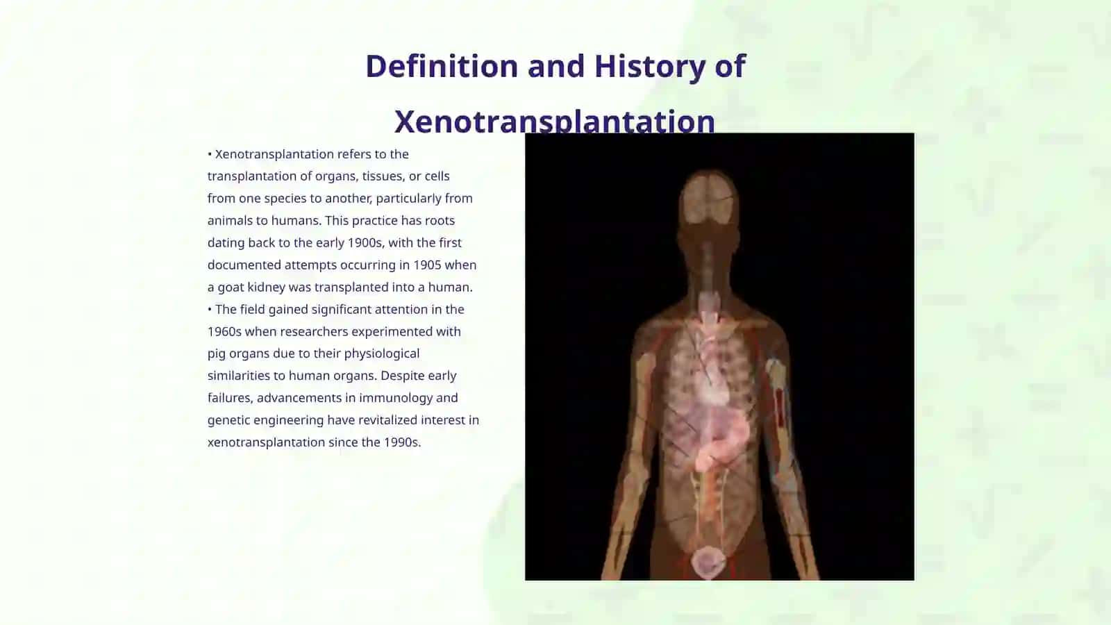 Xenotransplantation 3