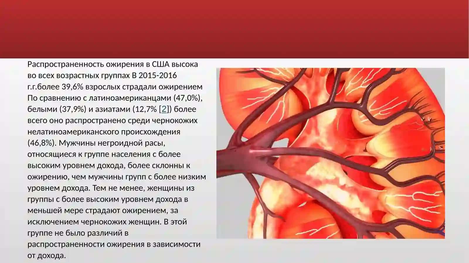 Питание при ожирения 3