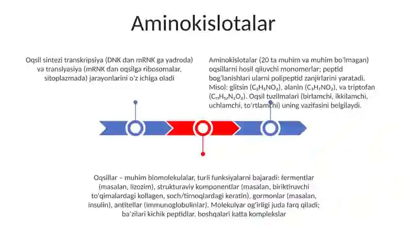 Oqsillar 3