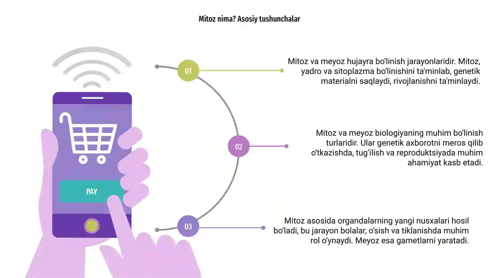 Mitoz va meyoz 3