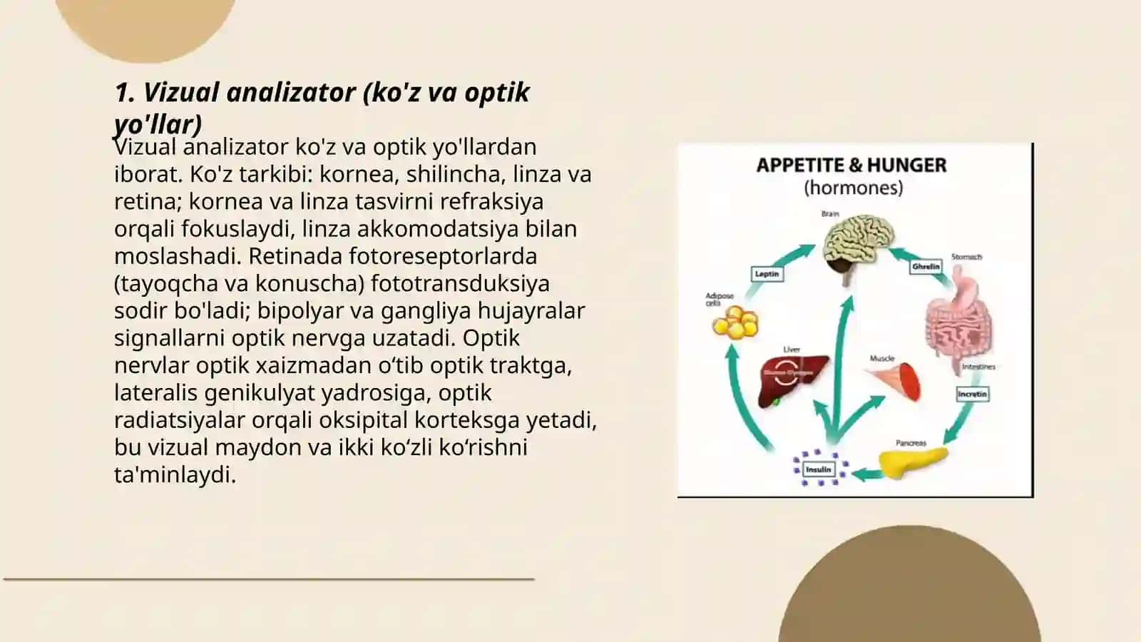 Analizatorlar 3