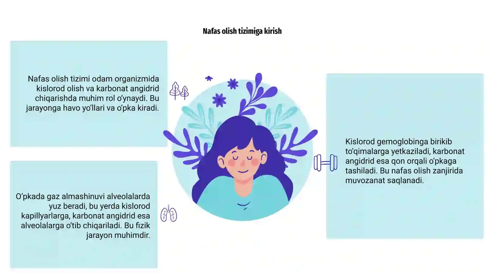 Fiziologiya-Nafas olish tizimining biofizikasi 3