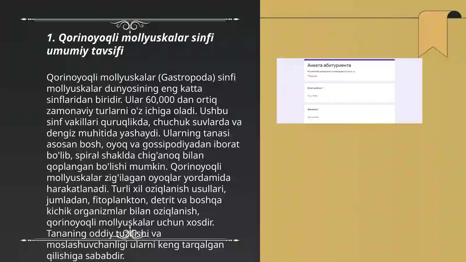 Qorinoyoqli mollyuskalar (Gastropoda ) sinfi Tok shillig‘i yoki suv shillig‘i 3