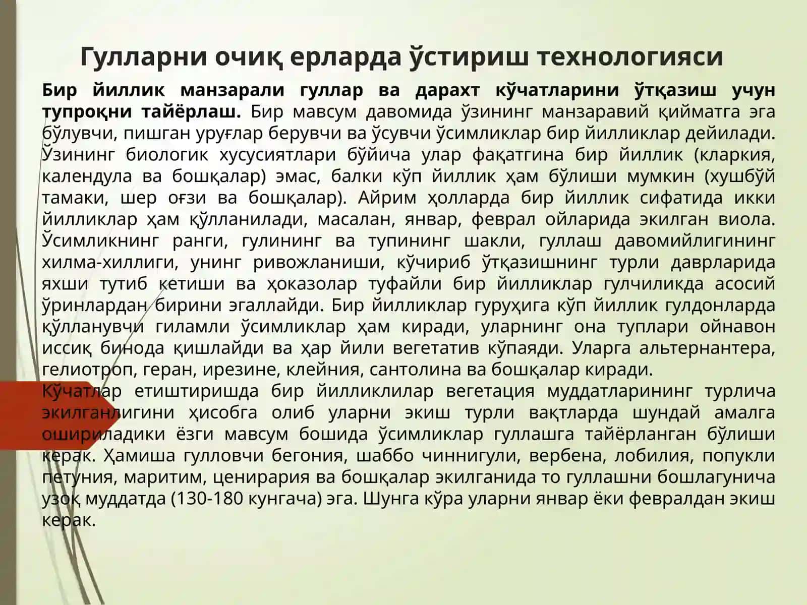 Гулларни очиқ ва ёпиқ ерларда ўстириш технологияси 3