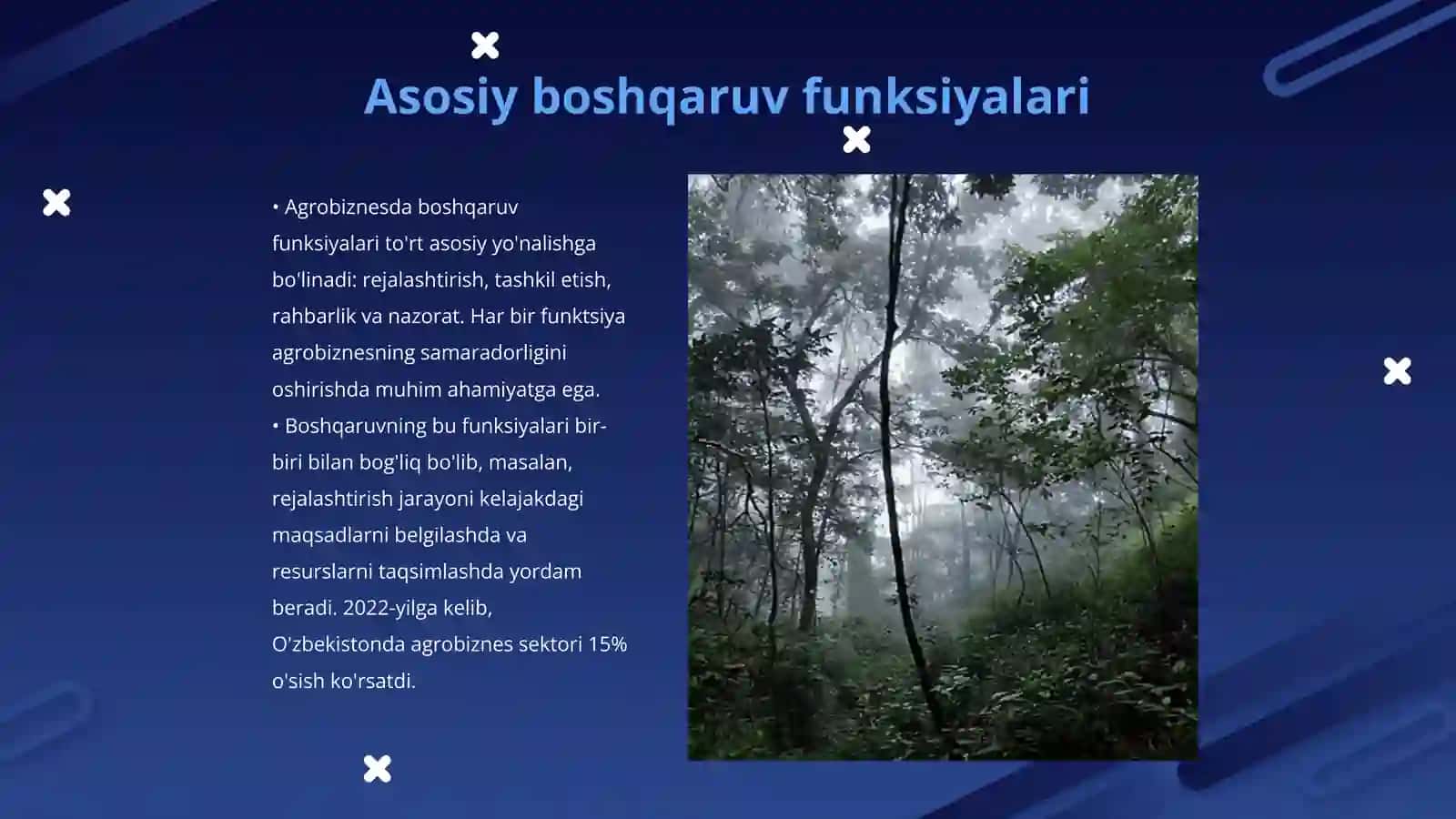 Agrobiznesda boshqaruv funksiyalari 3