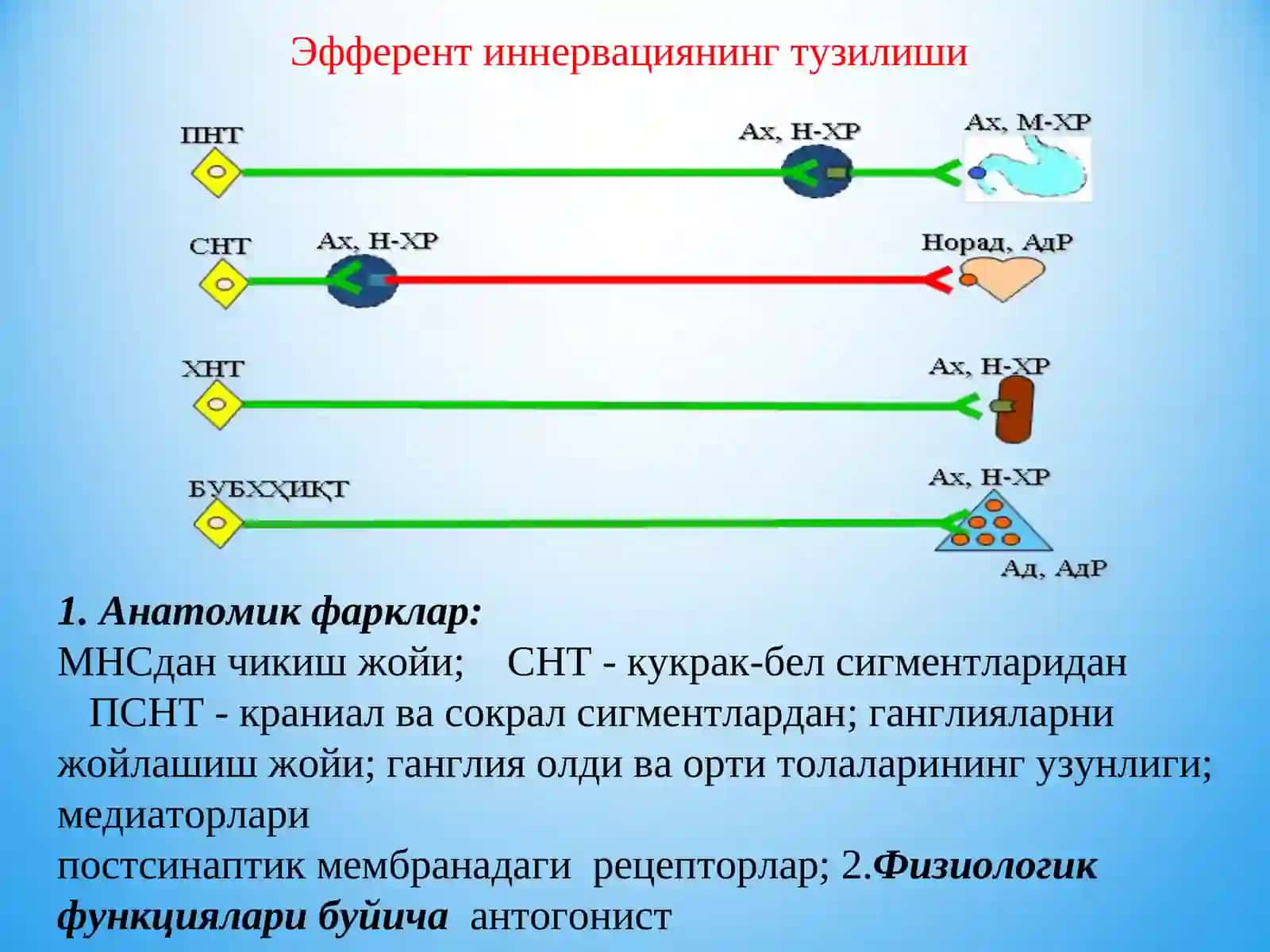 М- холинорецепторларга таъсир этувчи воситалар. М-олиномиметиклар. М-олиноблокаторлар. Антихолинэстераз воситалар 3