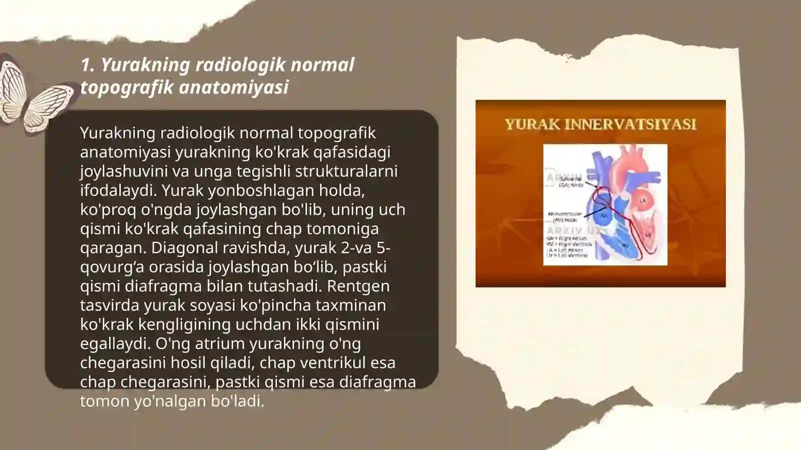 yurak va yirik qon tomirlarning radiologik normal topografik anatomiyasi va fiziologiyasi.Yurak va qon tomir radiologik tekshiruv usullari(rengenografiya,rengenoskopiya) 3