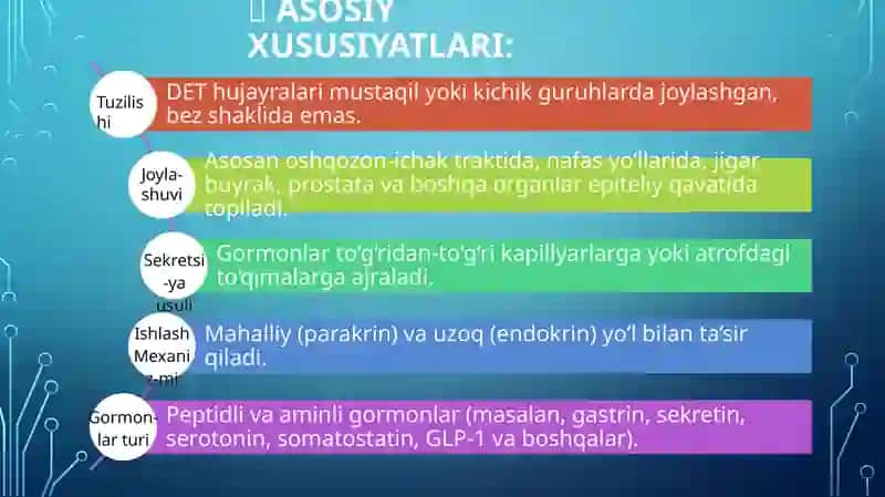 Diffuzendokrintizimi (DET) 3