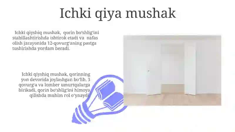 Yon Qorin Devori Mushaklari 3